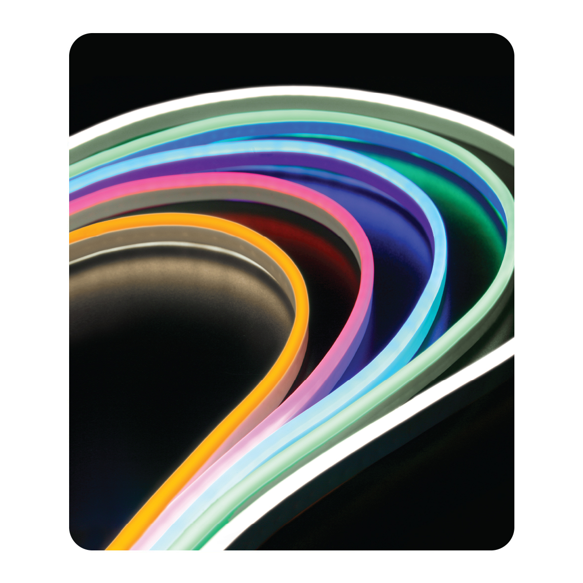ریسه Neon Flex-50m ریسه Neon Flex-50m