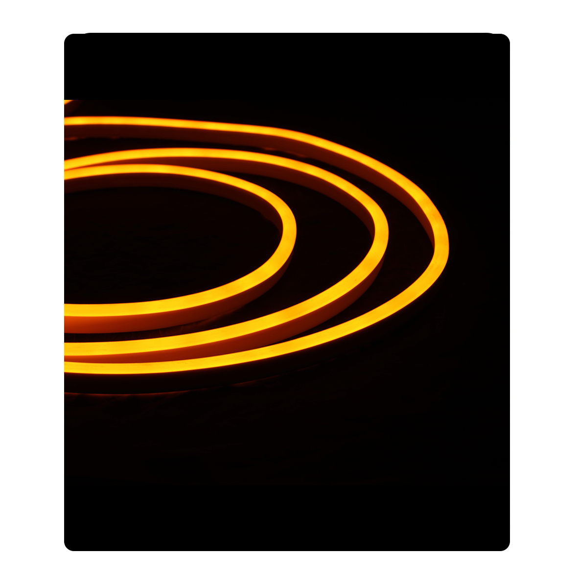 ریسه Neon Flexi-Professional ریسه Neon Flexi-Professional