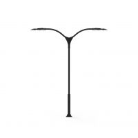 SH-Cane-7742
