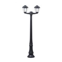 Dino Nardo Giampy 2L